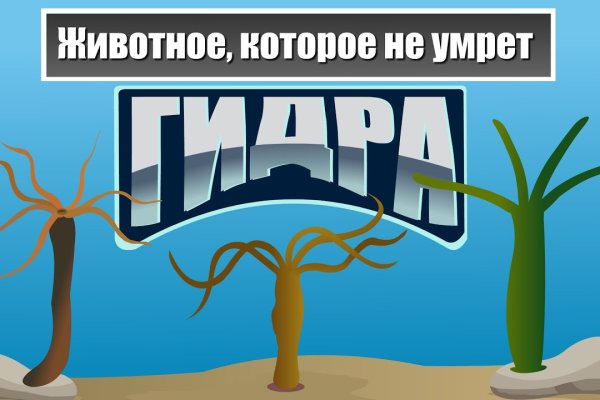 Кракен официальная ссылка kraken torion